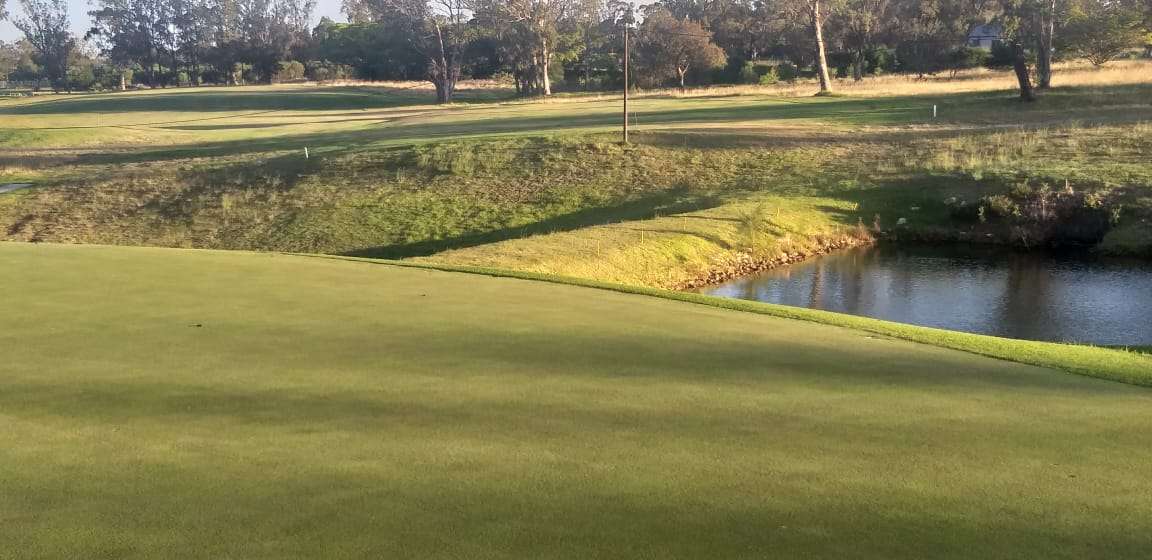 Wedgewood Golf Club Latest News